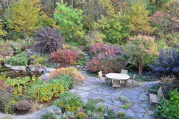 Dynamic color range of fall foliage of pond, patio, and woodland edge