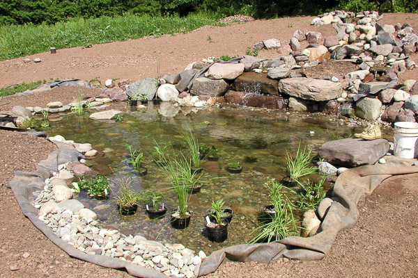 Pond being planted after construction