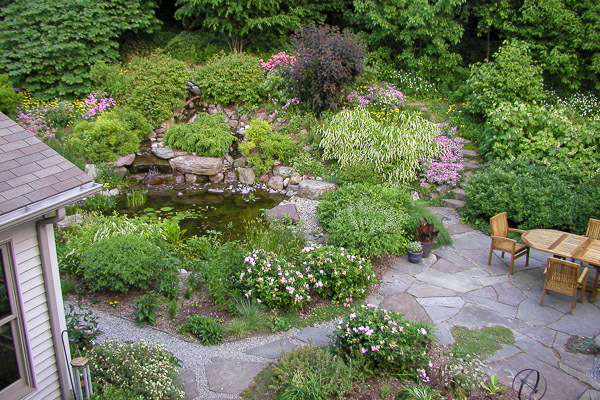 Patio and pond area in mid spring