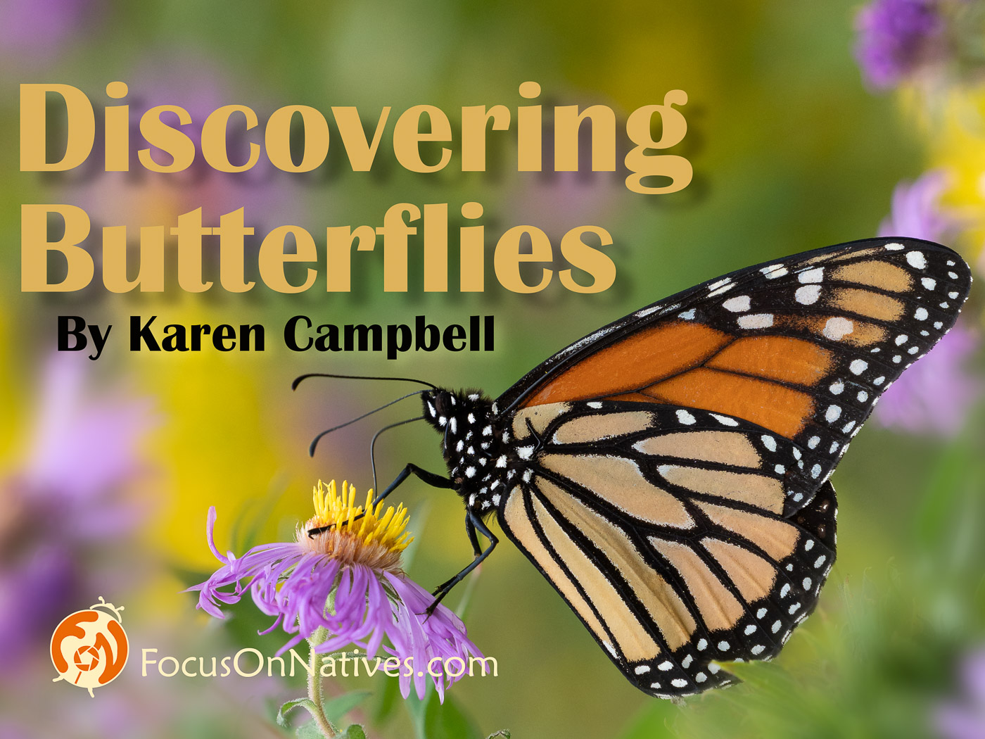 Discovering Butterflies Course