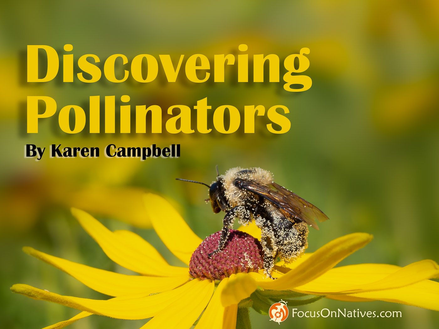 Discovering Pollinators Course