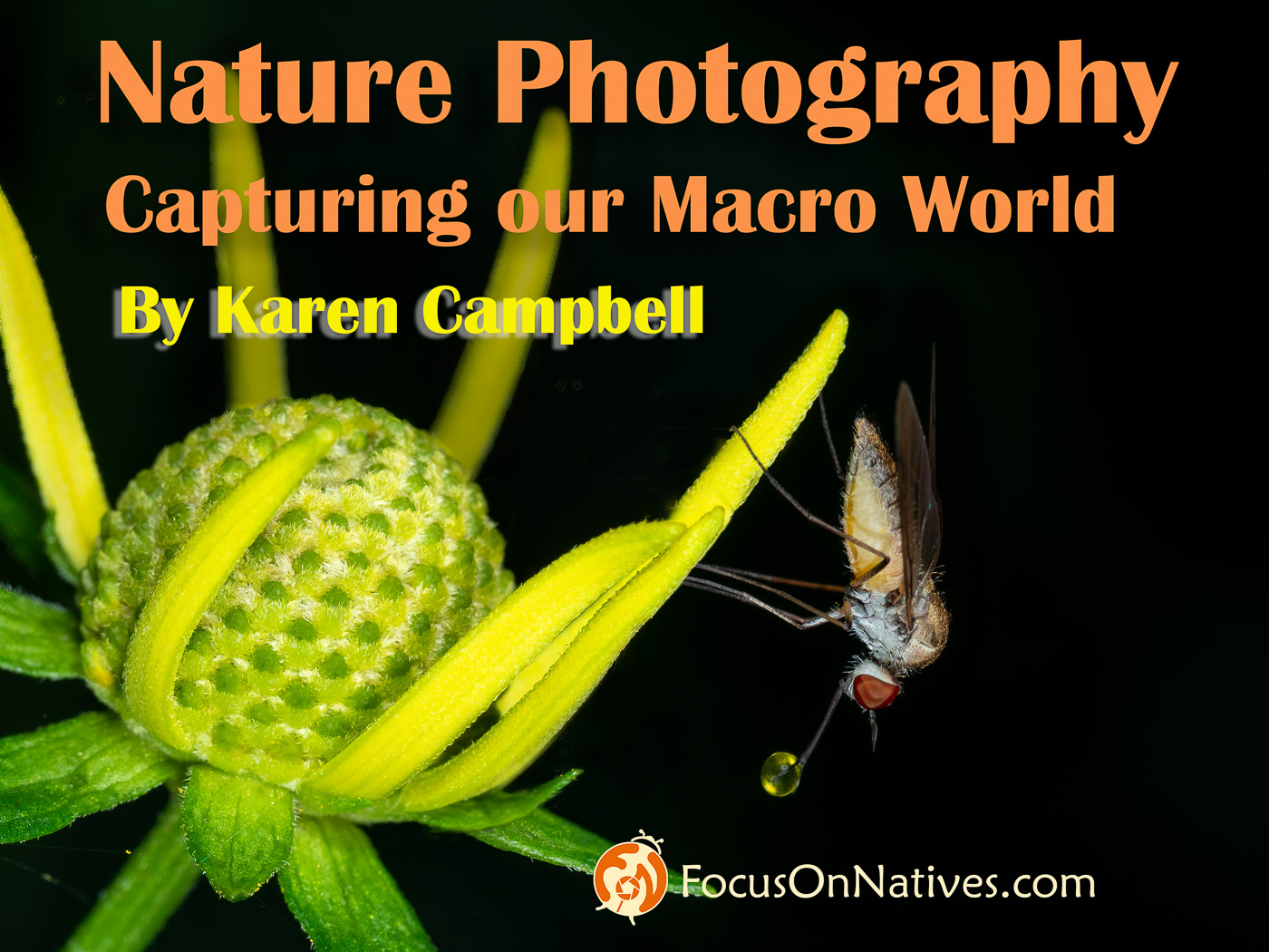 Nature Macro Photography Course