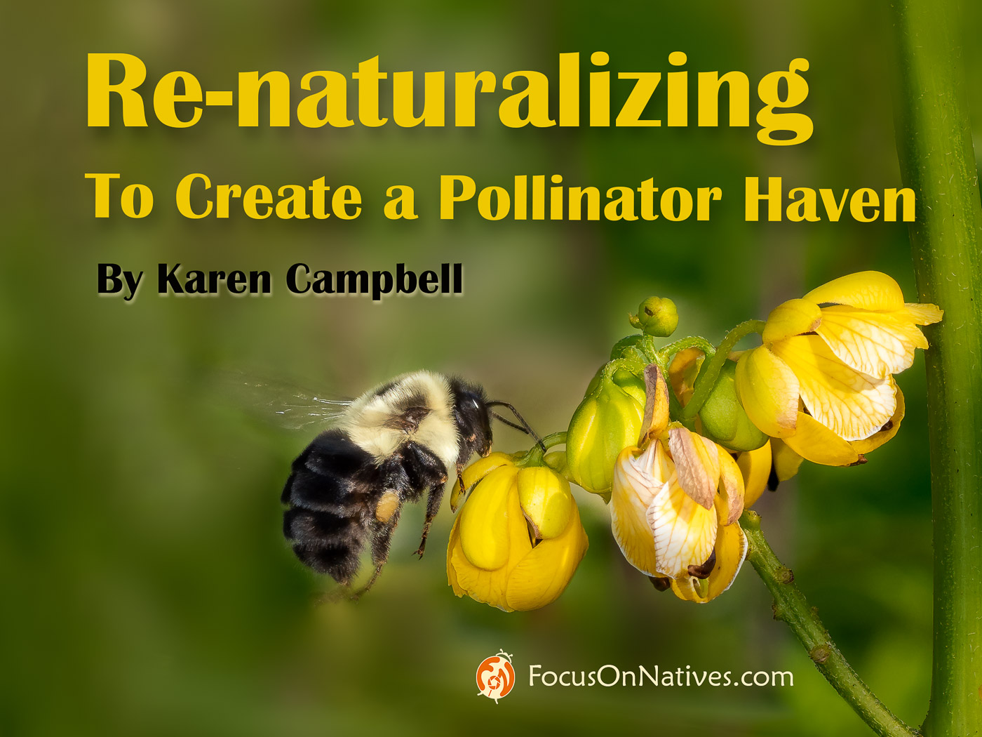 Re-naturalizing Webinar